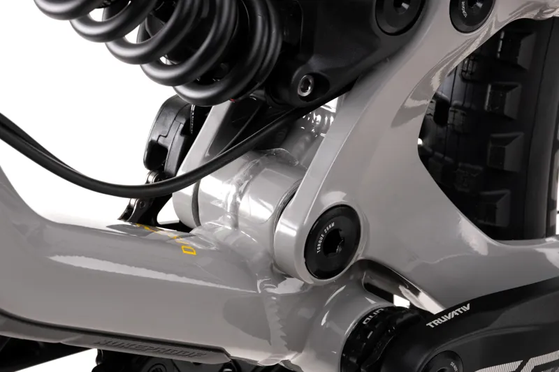 Nukeproof Dissent 290 Comp 29er Downhill Mountain Bike 2021 Grey-8